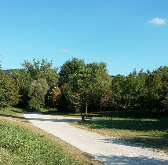 Parco del Meisino Torino