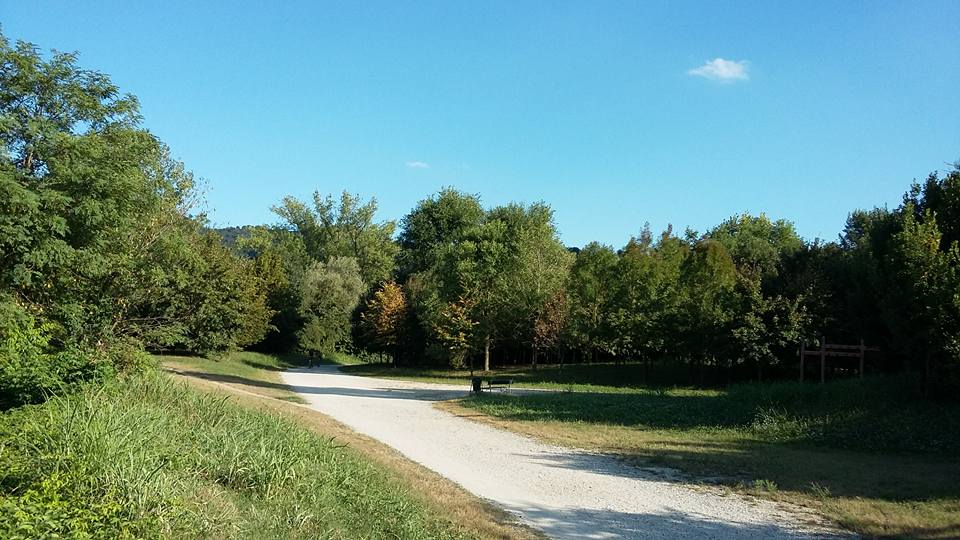 Parco del Meisino Torino